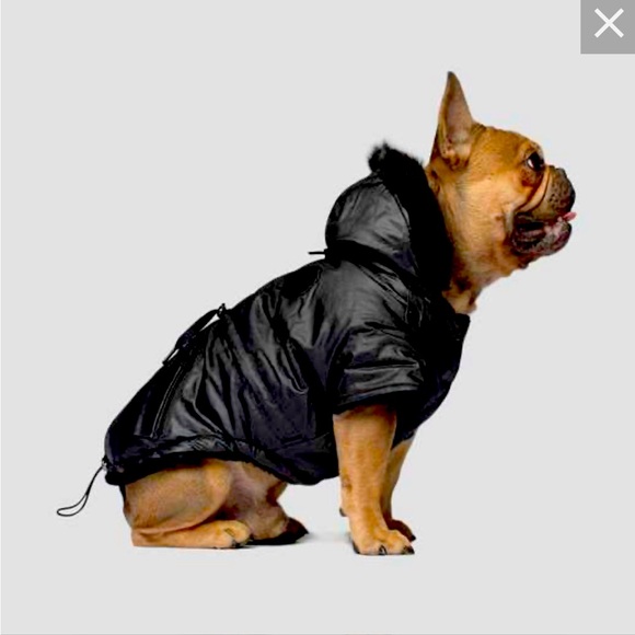 NWT Canada Pooch Urban Wax Parka Winter Coat 33-40 lbs